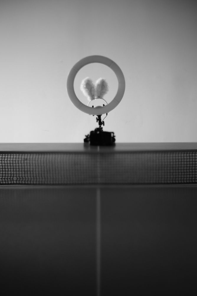 Фотография автора Алиса Чурчудесная