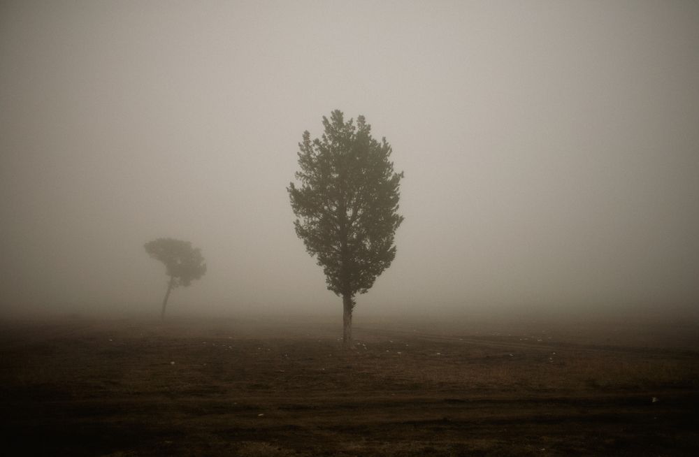 Photograph by giorgi givishvili