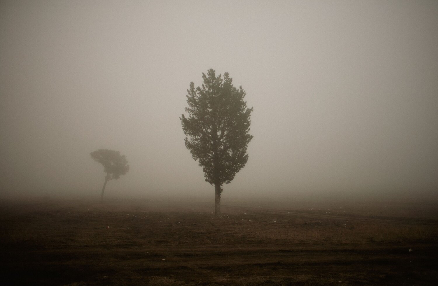 Photo #7400665