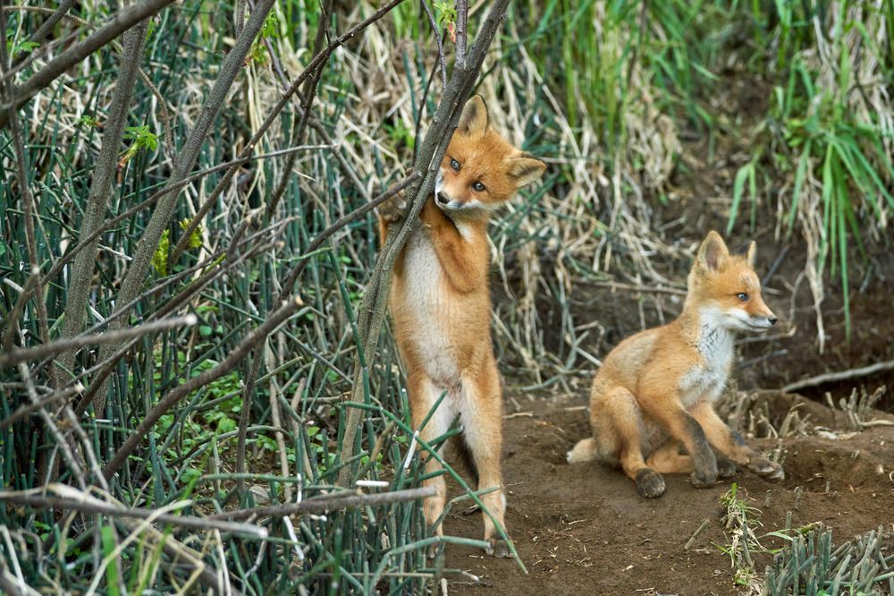 Photograph by Maxim Balakhovskii