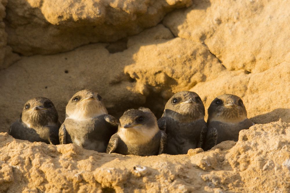 Photograph by Александр