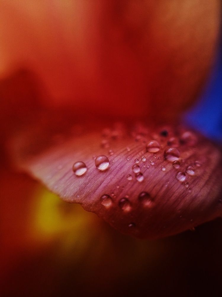 Photograph by Анна Репина