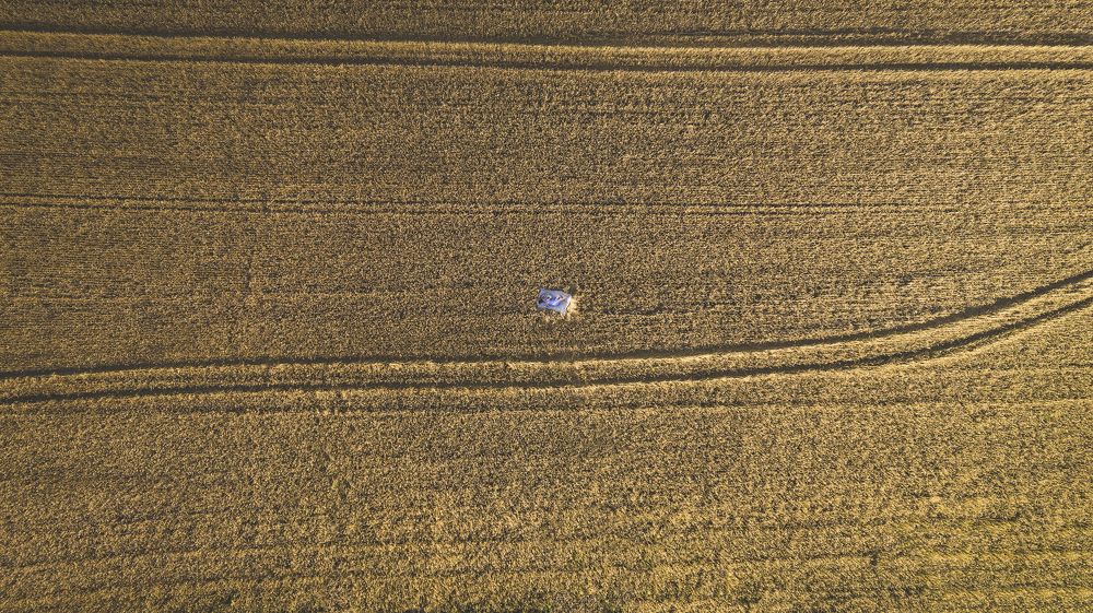 Photograph by Александр Давидик