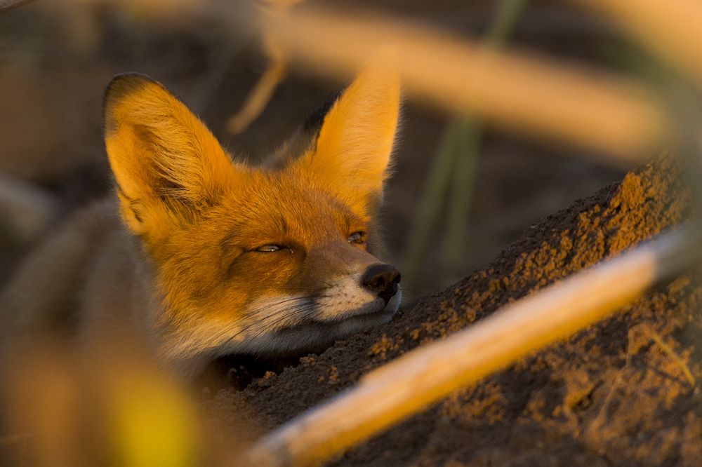 Photograph by Александр