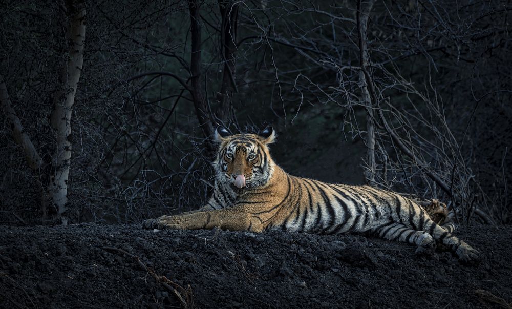 Photograph by Abhinav Behera