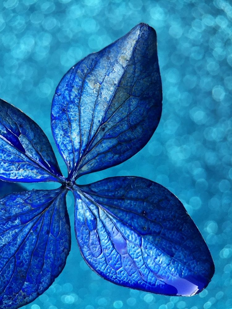 Photograph by Алена Шаргина