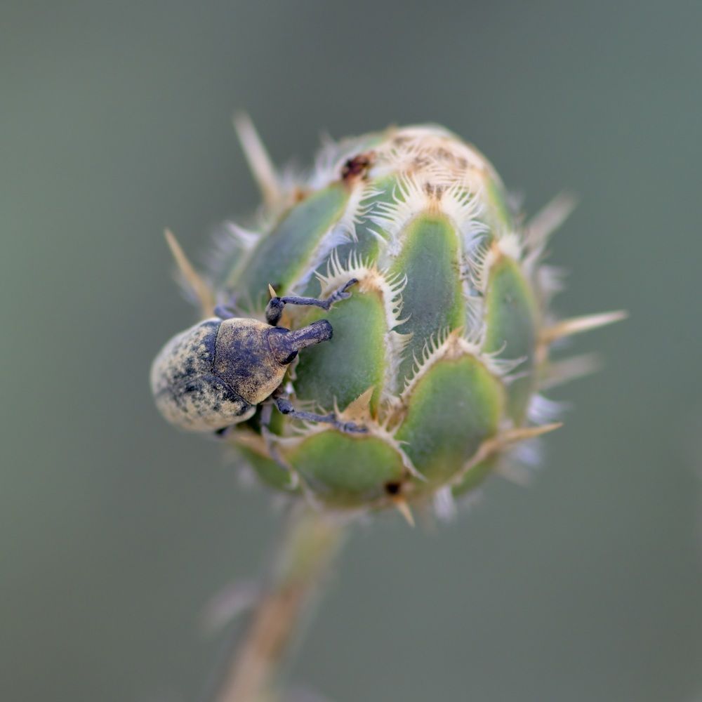 Photograph by Дмитрий Батагов