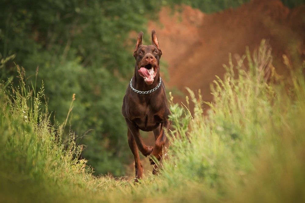 Photograph by Виктория Мамаева