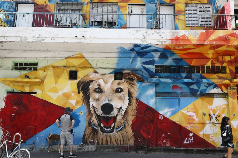 Photograph by Yaniv Abramovitz