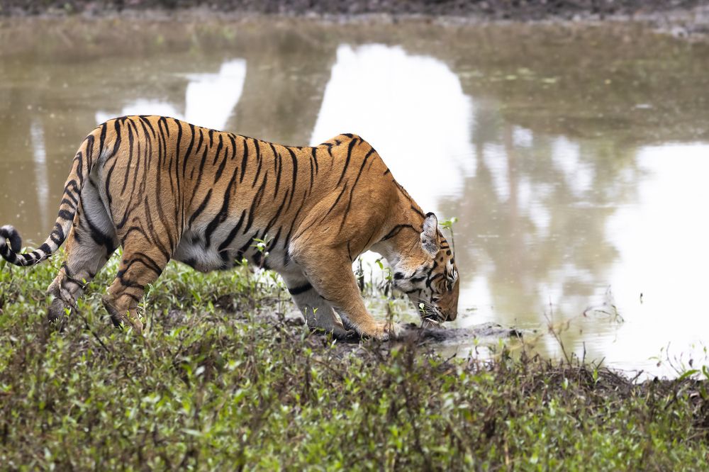 Photograph by Santhosh GVN