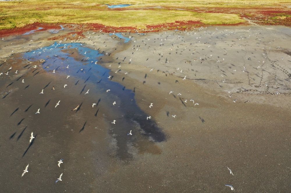 Photograph by Дмитрий Батагов