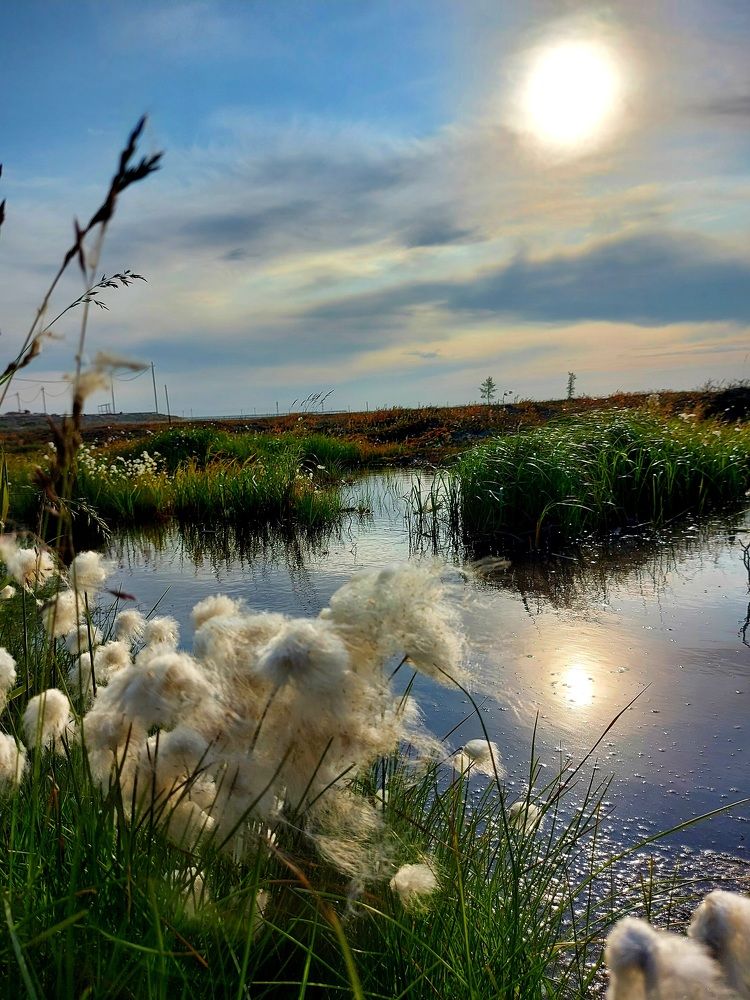 Photograph by Степан Павловский