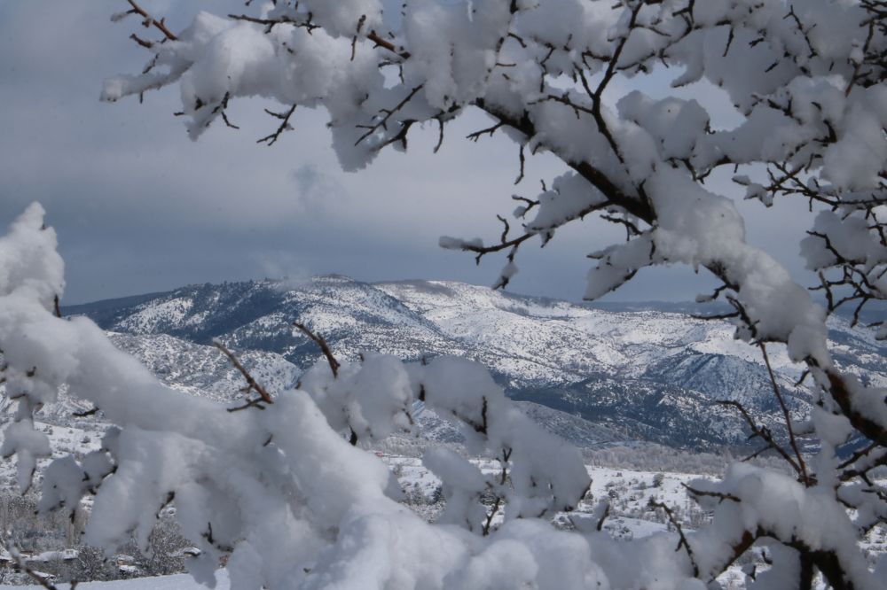 Photograph by Cengiz Yalcin