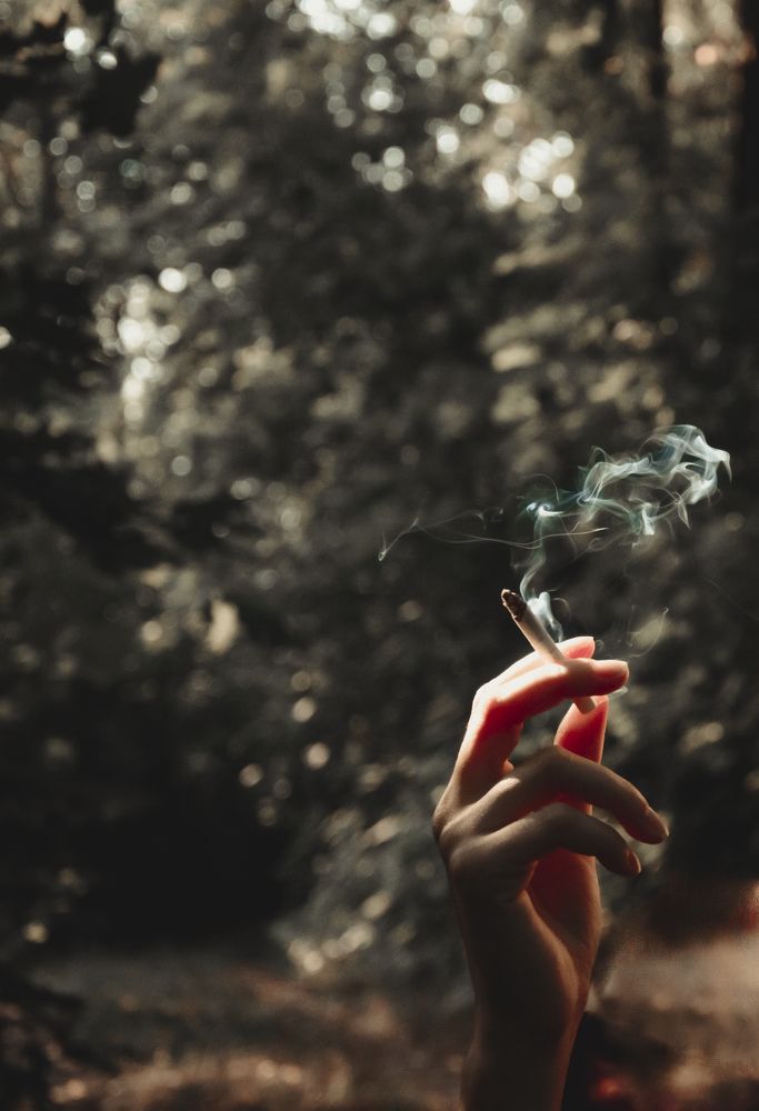 Фотография автора Ильяс Досаев