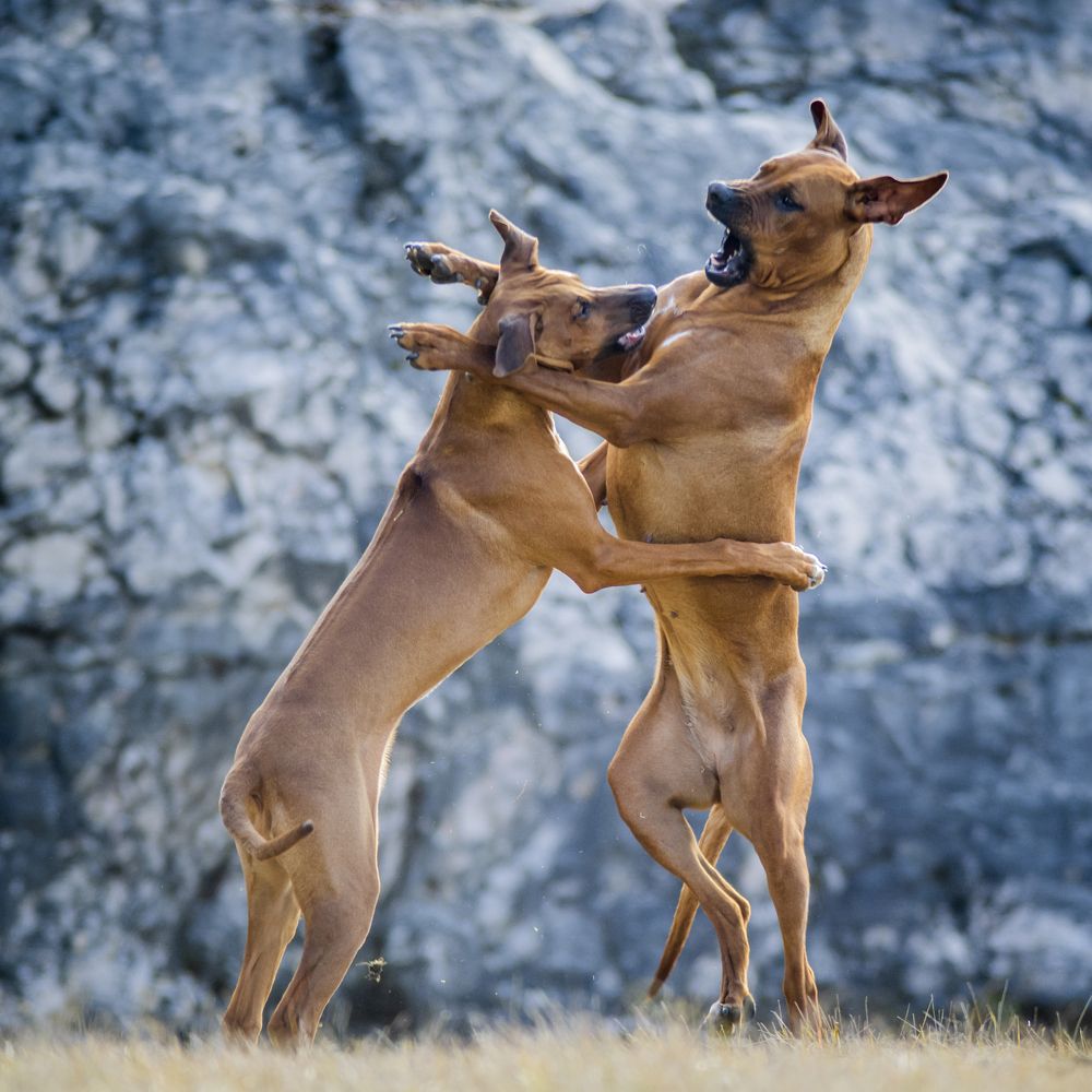 Photograph by Flora Jakab