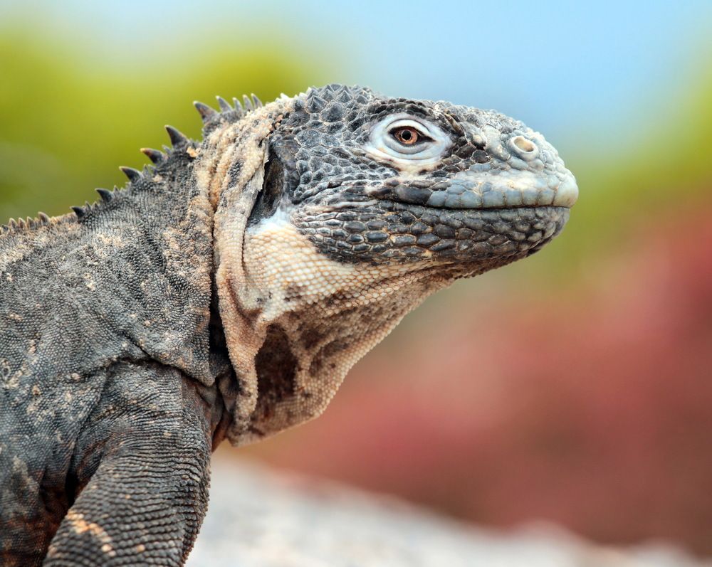 Photograph by Сергей ГОРДИЕНКО