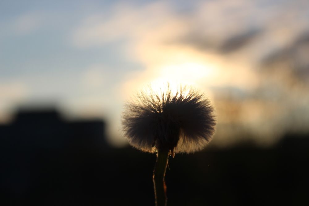 Photograph by Елена Петрова