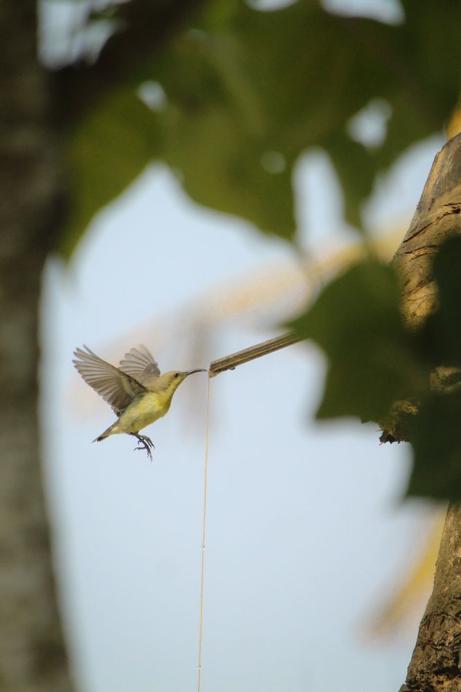 Photograph by Joy Mondal