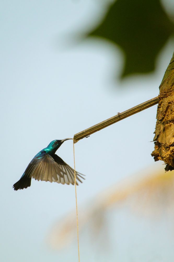 Photograph by Joy Mondal