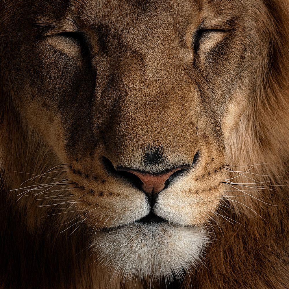 Photograph by Ghalib Hasnain