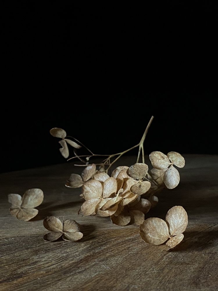 Photograph by Анастасия Куэлляр