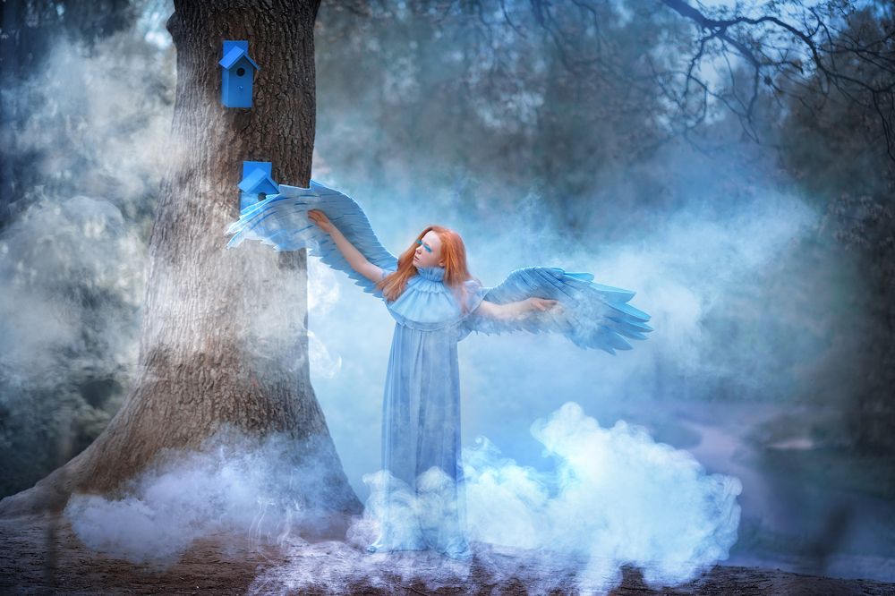 Фотография автора Елена Петрова