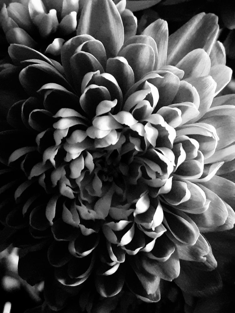 Photograph by Евгения Ульянова