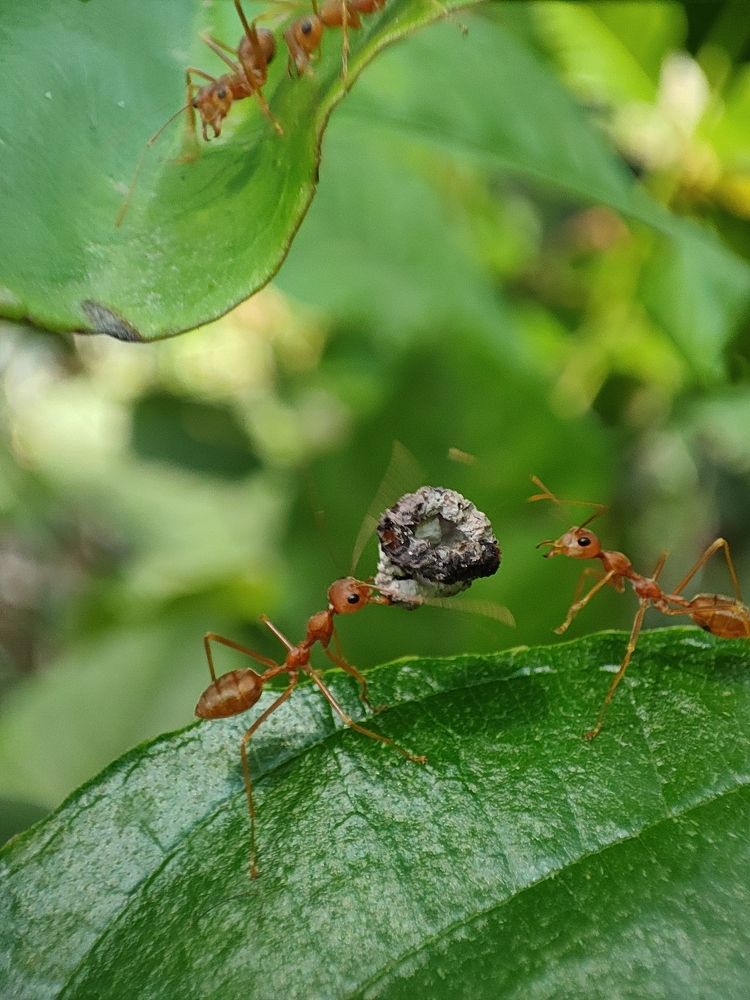 Photograph by Joy Mondal