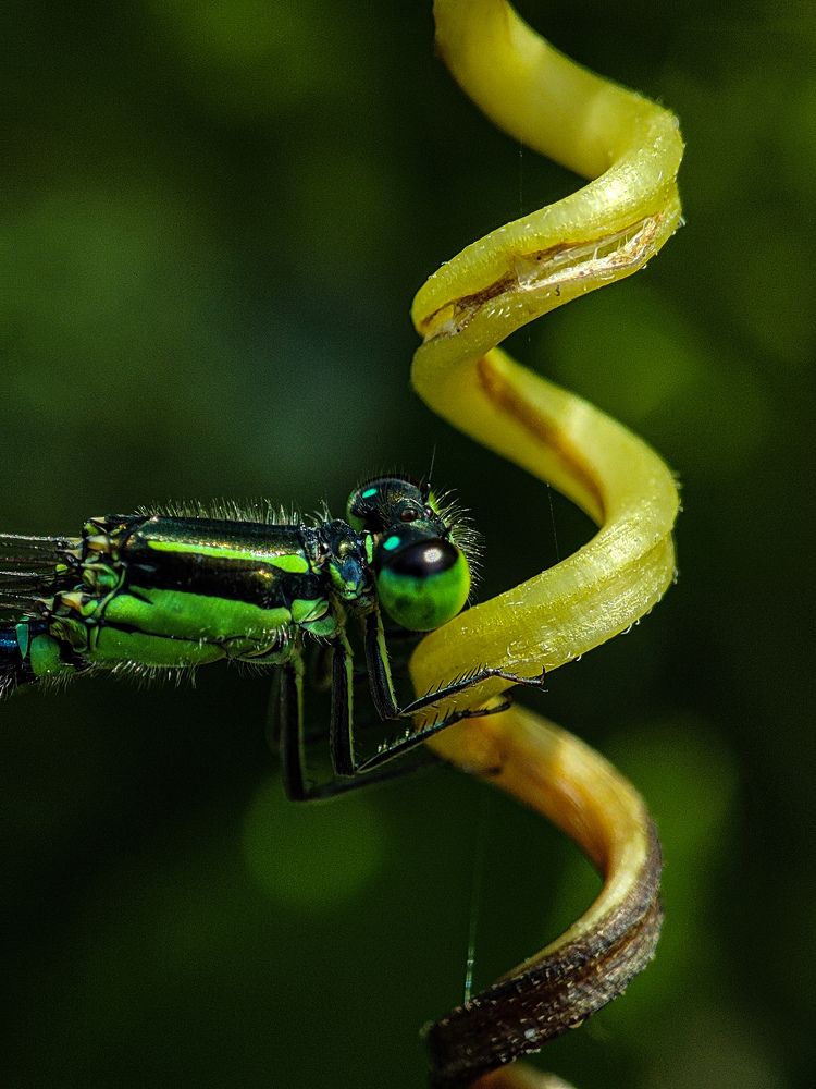 Photograph by Joy Mondal