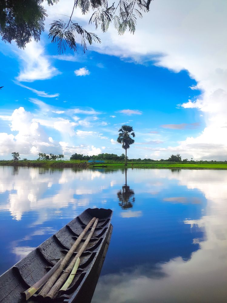 Photograph by joy mondal