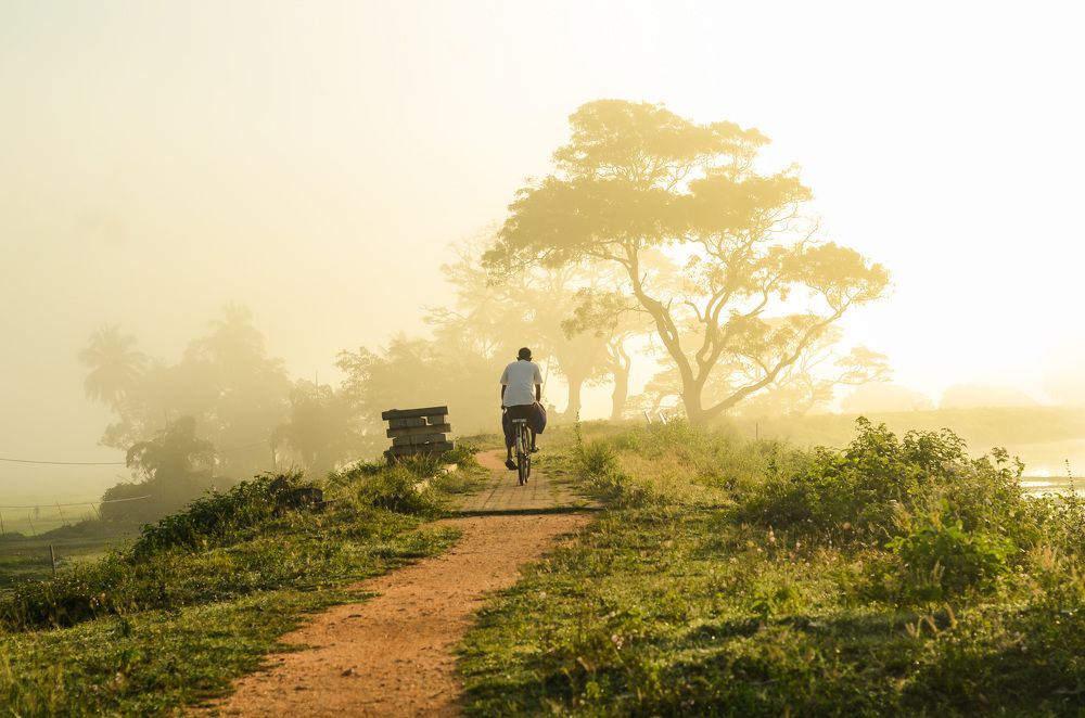 Photograph by Amith Anuradha