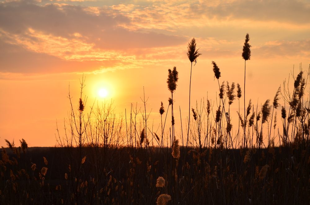 Photograph by Лиана Ратия