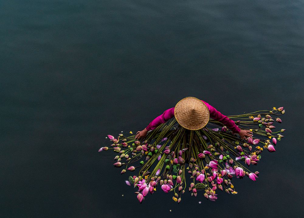 Photograph by Francisco Goncalves