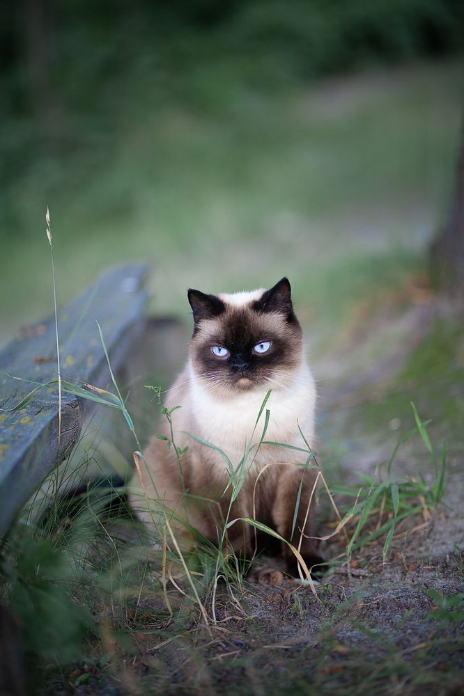 Photograph by Анна Малютина