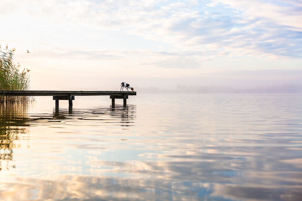 Photograph by Diana Jill Mehner