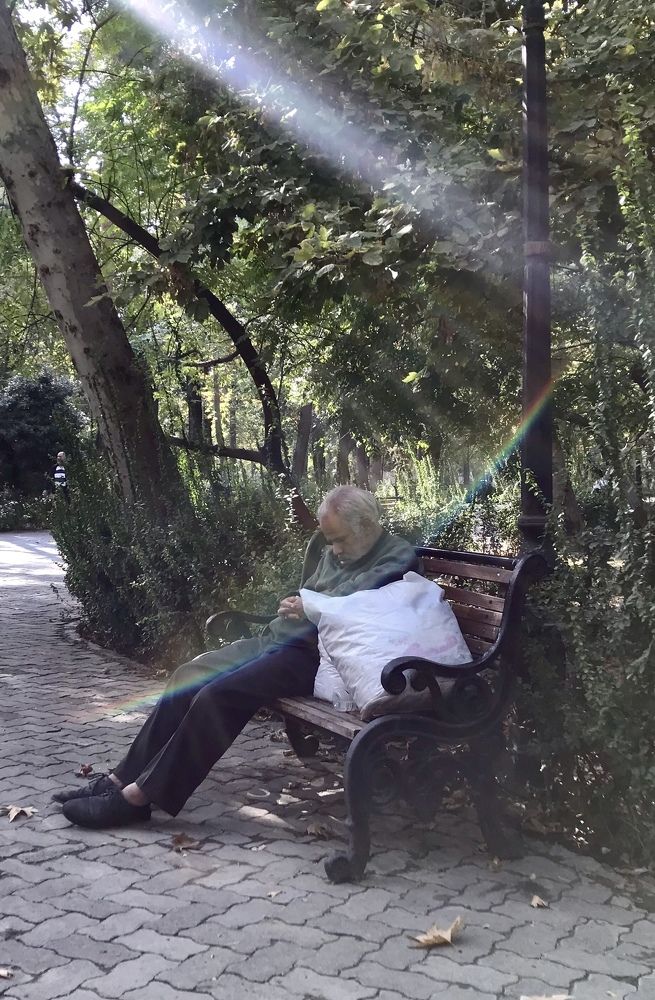 Фотография автора Ladan Khalilinasab