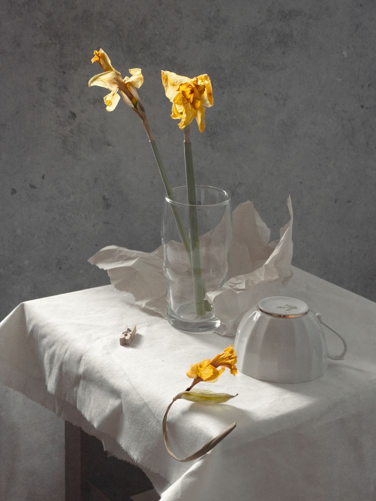 Photograph by Ольга Репина