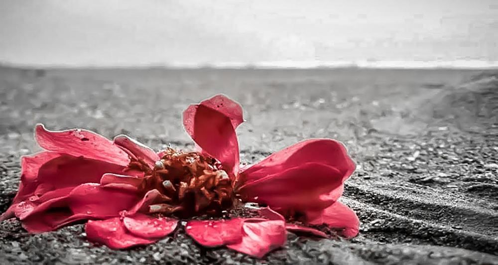 Photograph by Khashauar Yaghoubi