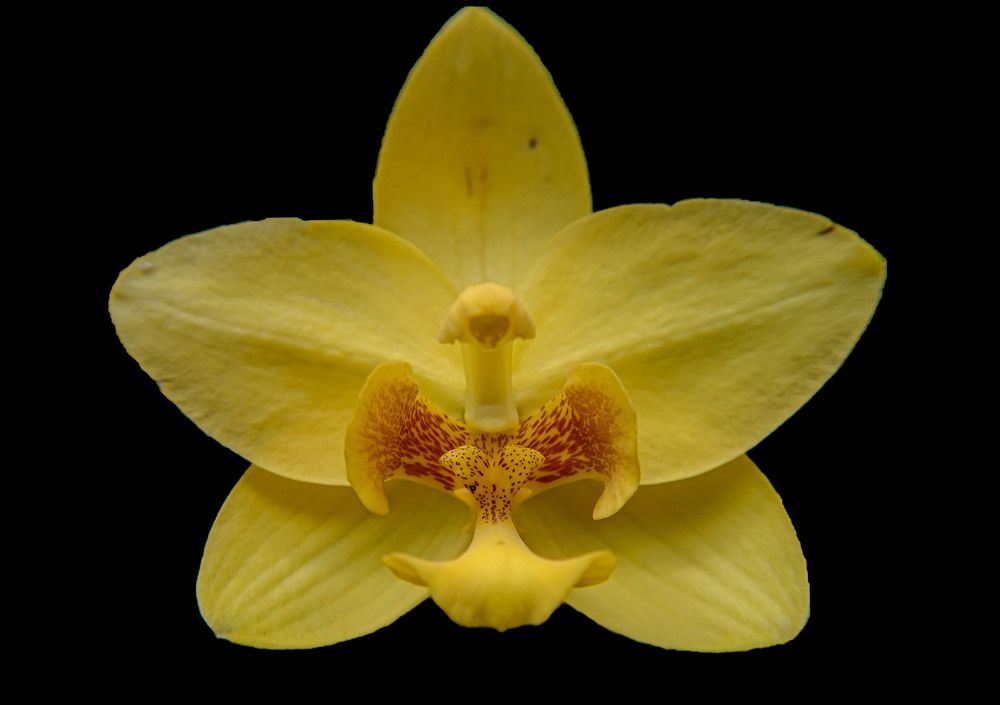 Photograph by Pasan Lenora