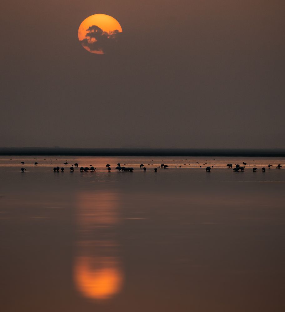 Photograph by Elham Khanpour