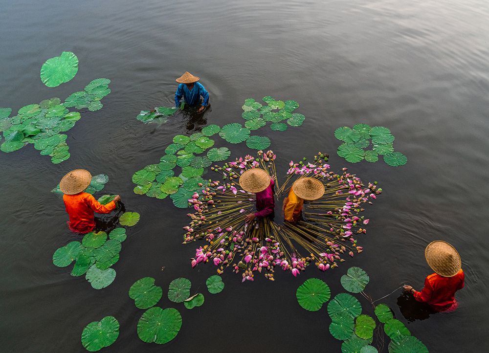 Photograph by Francisco Goncalves