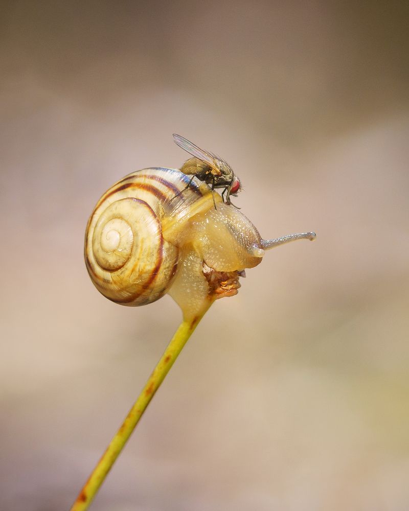 Photograph by Larianna Holm