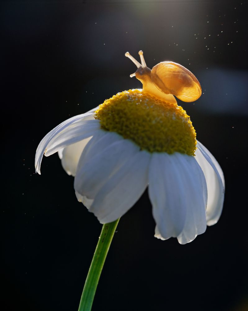 Photograph by Larianna Holm