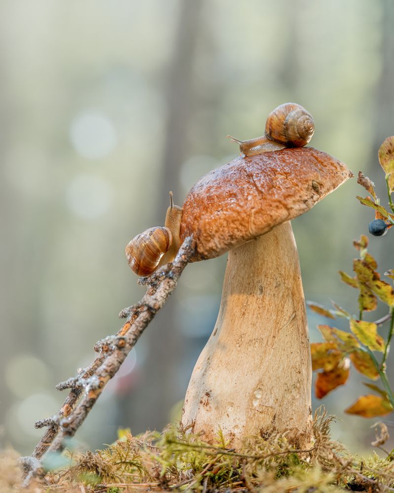 Photograph by Larianna Holm