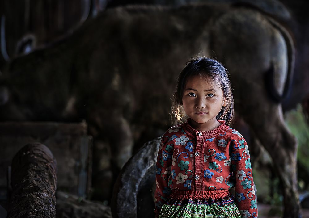 Photograph by Nguyen Quan