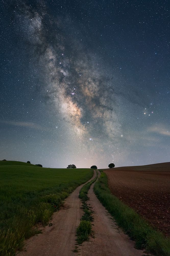 Photograph by Javier Saiz