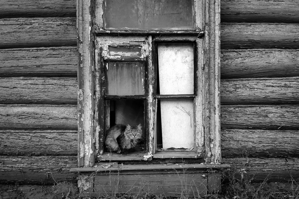 Photograph by Наталья Кулемина