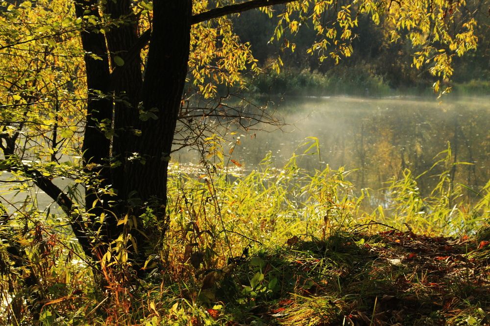 Photograph by Илья Беликов