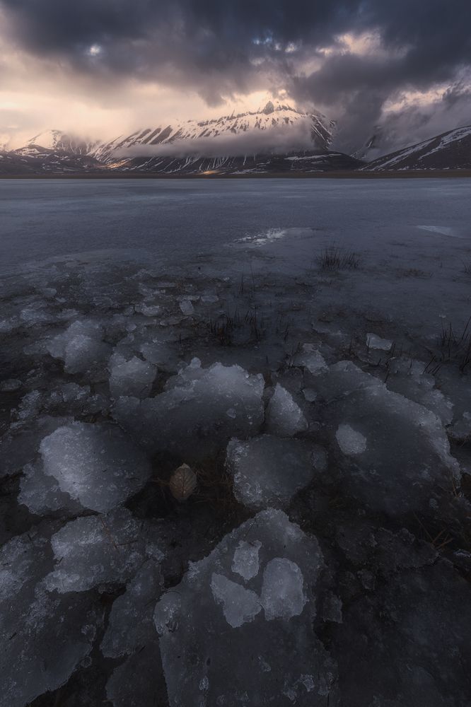 Photograph by Mario Marini