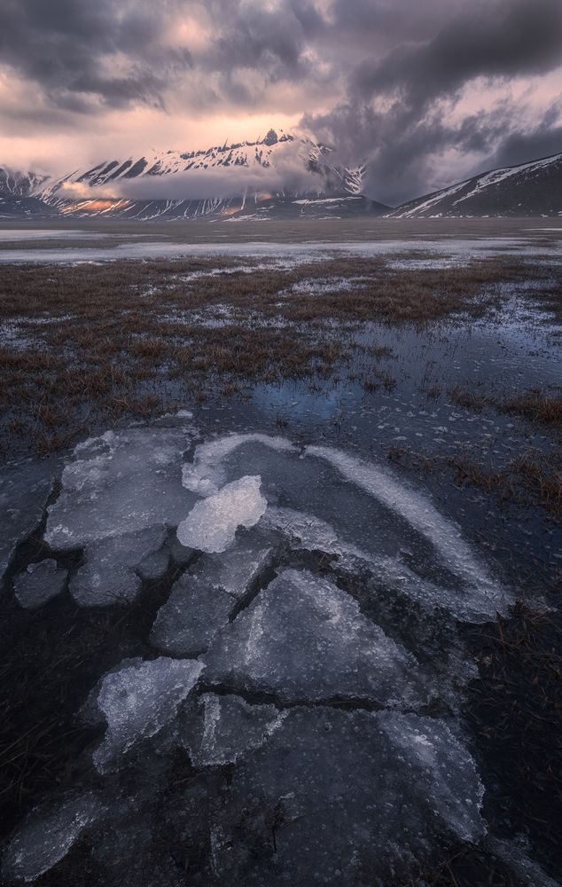 Photograph by Mario Marini